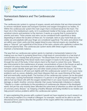 Essay on Homeostasis Balance and the Cardiovascular System