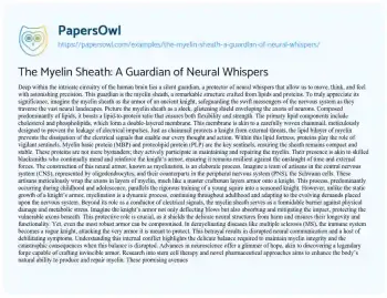 Essay on The Myelin Sheath: a Guardian of Neural Whispers