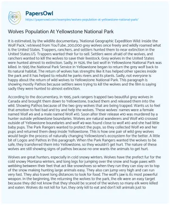 Essay on Wolves Population at Yellowstone National Park