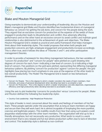 Essay on Blake and Mouton Managerial Grid