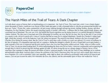 Essay on The Harsh Miles of the Trail of Tears: a Dark Chapter