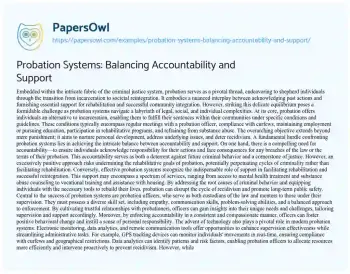 Essay on Probation Systems: Balancing Accountability and Support