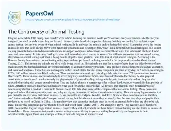 Essay on The Controversy of Animal Testing