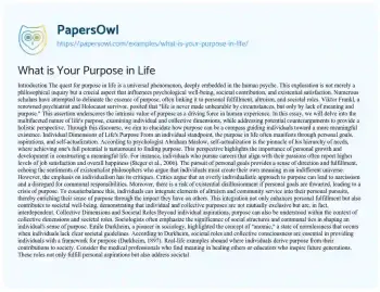 Essay on What is your Purpose in Life