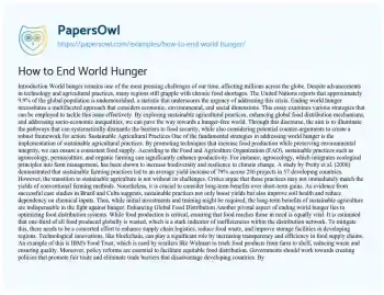 Essay on How to End World Hunger