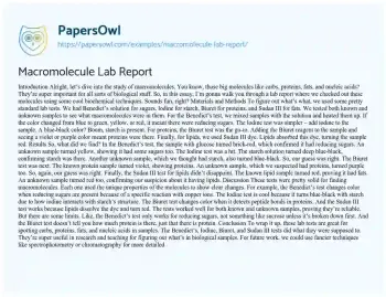 Essay on Macromolecule Lab Report