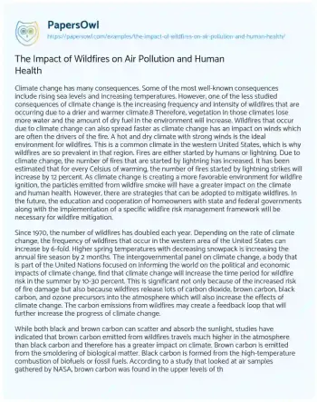 Essay on The Impact of Wildfires on Air Pollution and Human Health