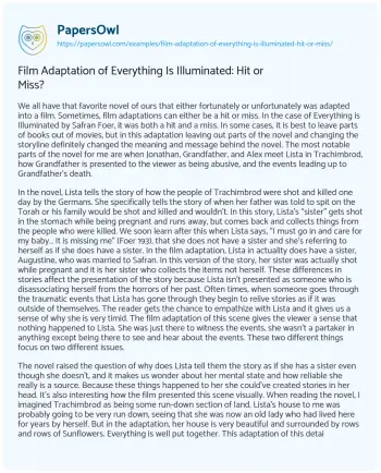 Essay on Film Adaptation of Everything is Illuminated: Hit or Miss?   