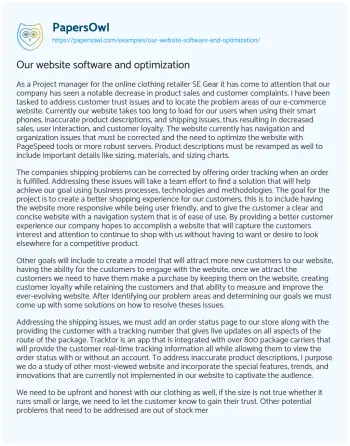 Essay on Our Website Software and Optimization