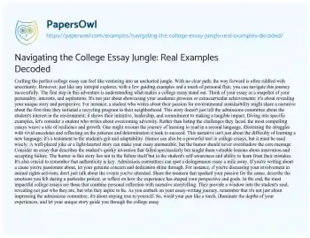 Essay on Navigating the College Essay Jungle: Real Examples Decoded