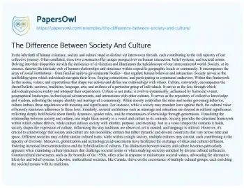 Essay on The Difference between Society and Culture