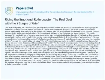 Essay on Riding the Emotional Rollercoaster: the Real Deal with the 7 Stages of Grief