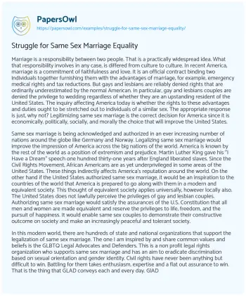 Essay on Struggle for same Sex Marriage Equality