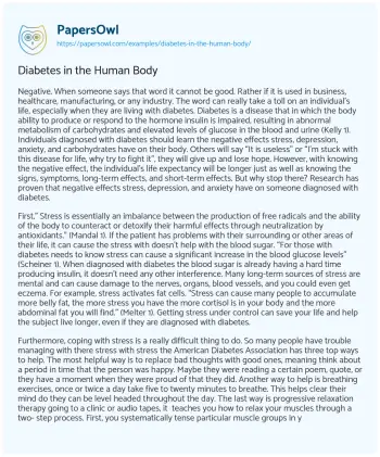 Essay on Diabetes in the Human Body