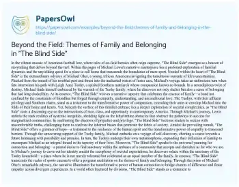 Essay on Beyond the Field: Themes of Family and Belonging in “The Blind Side”