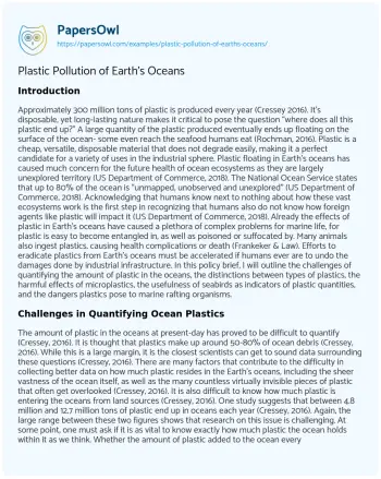 Essay on Plastic Pollution of Earth’s Oceans