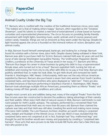 Essay on Animal Cruelty under the Big Top