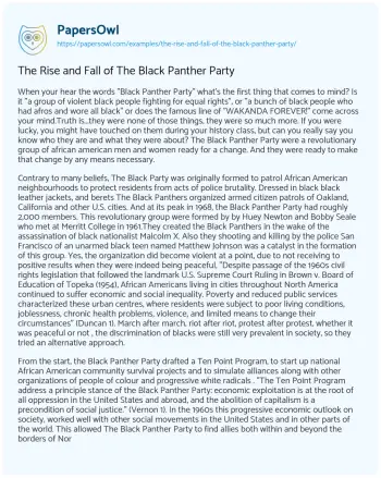 Essay on The Rise and Fall of the Black Panther Party