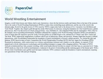 Essay on World Wrestling Entertainment