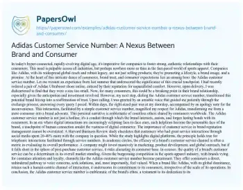 Essay on Adidas Customer Service Number: a Nexus between Brand and Consumer