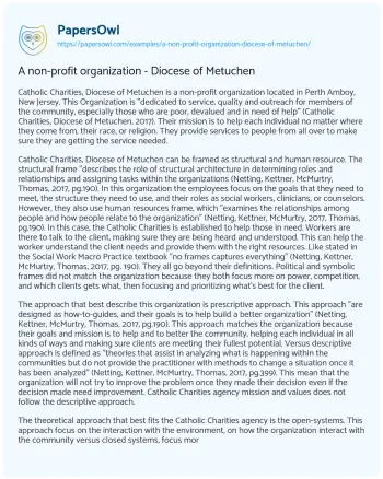 Essay on A Non-profit Organization – Diocese of Metuchen