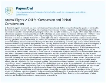 Essay on Animal Rights: a Call for Compassion and Ethical Consideration