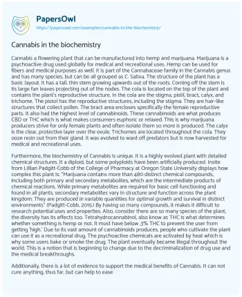 Essay on Cannabis in the Biochemistry