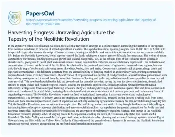 Essay on Harvesting Progress: Unraveling Agriculture the Tapestry of the Neolithic Revolution