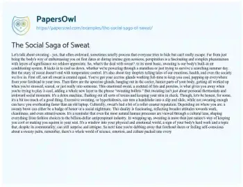 Essay on The Social Saga of Sweat