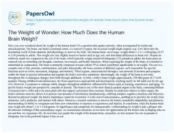 Essay on The Weight of Wonder: how Much does the Human Brain Weigh?