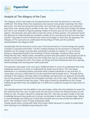 Essay on Analysis of the Allegory of the Cave