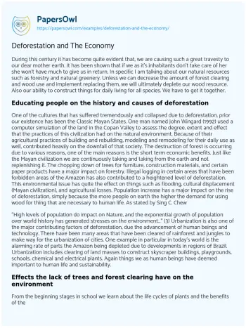 Essay on Deforestation and the Economy