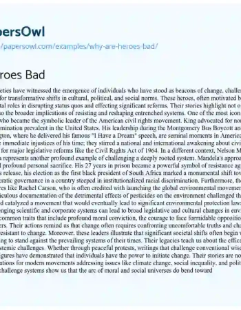 Essay on Why are Heroes Bad