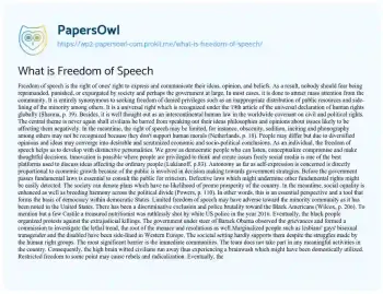 Essay on What is Freedom of Speech