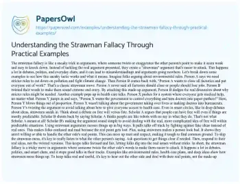 Essay on Understanding the Strawman Fallacy through Practical Examples