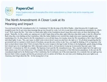 Essay on The Ninth Amendment: a Closer Look at its Meaning and Impact