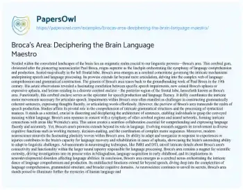 Essay on Broca’s Area: Deciphering the Brain Language Maestro