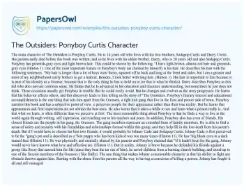 Essay on The Outsiders: Ponyboy Curtis Character