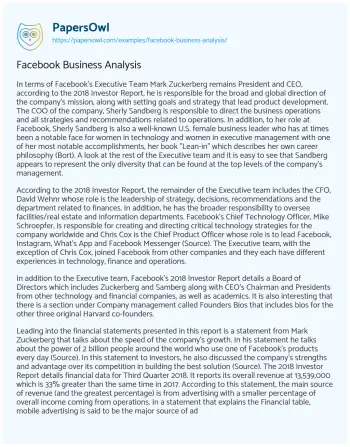 Essay on Facebook Leadership Strategy Review