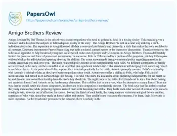 Essay on Amigo Brothers Review