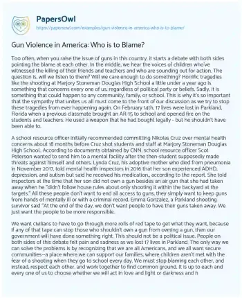 Essay on Gun Violence in America: who is to Blame?