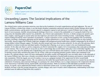 Essay on Unraveling Layers: the Societal Implications of the Lamora Williams Case