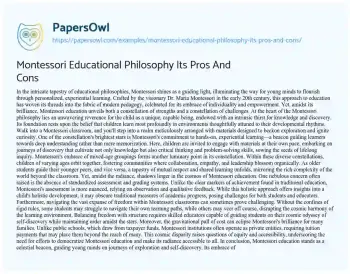 Essay on Montessori Educational Philosophy its Pros and Cons