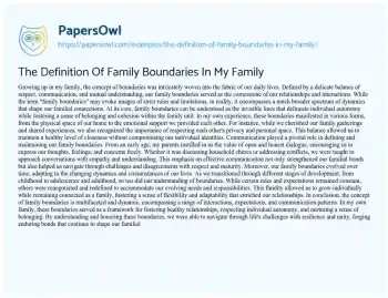 Essay on The Definition of Family Boundaries in my Family