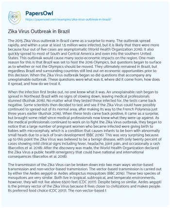 Essay on Zika Virus Outbreak in Brazil