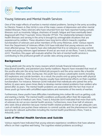 Essay on Young Veterans and Mental Health Services