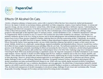 Essay on Effects of Alcohol on Cats