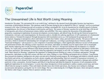 Essay on The Unexamined Life is not Worth Living Meaning