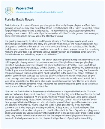 Essay on Fortnite Battle Royale