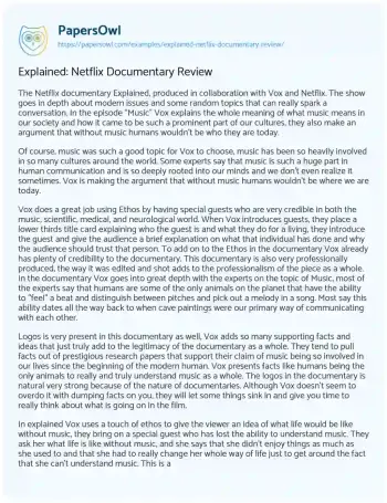 Essay on Explained: Netflix Documentary Review